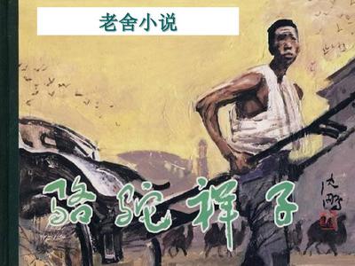 某柠檬官网